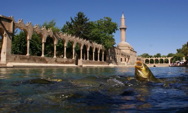 BALIKLI GÖL
